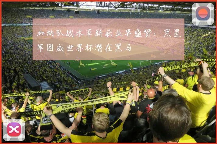 加纳队战术革新获业界盛赞，黑星军团成世界杯潜在黑马